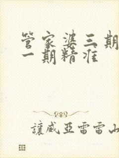 管家婆三期必开一期精准