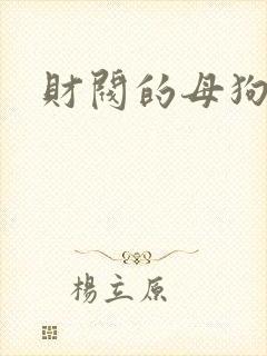 财阀的母狗们封面