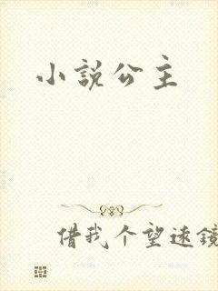 小说公主