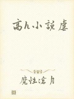 高h小说虐封面