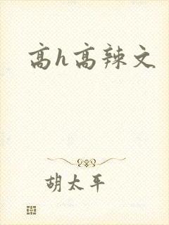 高h高辣文