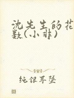 沈先生的花式调数(小非)