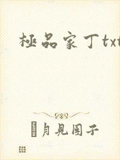 极品家丁txt