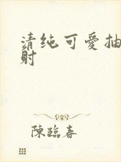 清纯可爱抽插内射