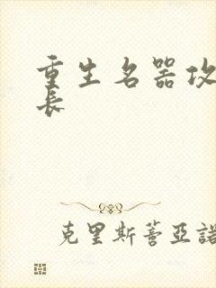 重生名器攻略兄长封面