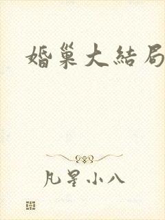 婚巢大结局封面