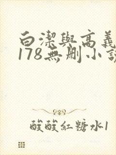 白洁与高义1～178无删小说封面