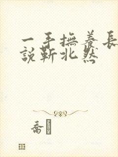 一手抚养长大小说靳北然