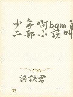 少年啊bgm第二部小说叫什么封面