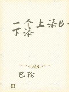 一个上添B一个下添