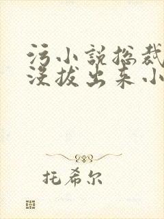 污小说总裁整夜没拔出来小说在线阅读