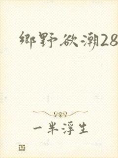 乡野欲潮28章