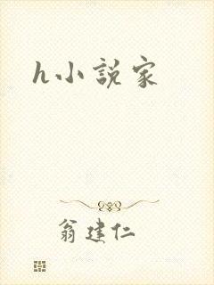 h小说家