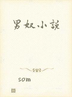 男奴小说