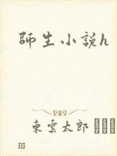 师生小说h封面