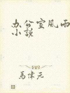 办公室风雨完整小说