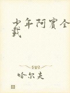 少年阿宾全集下载