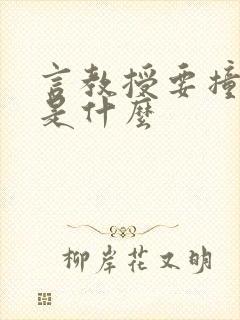 言教授要撞坏了是什么