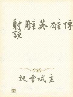 射雕英雄传 小说封面