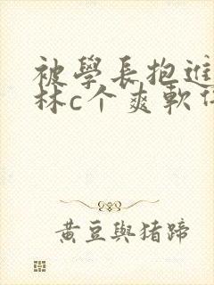 被学长抱进小树林c个爽软件