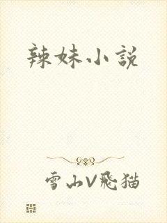 辣妹小说