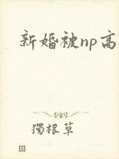 新婚被np高h