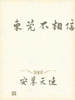 东莞不相信眼泪