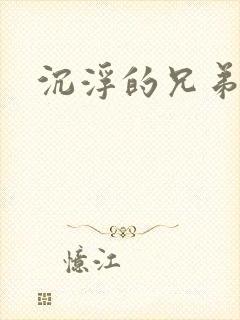 沉浮的兄弟封面