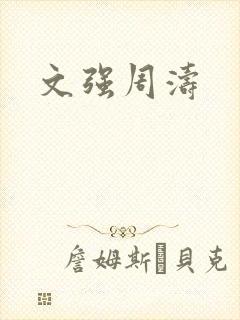 文强周涛