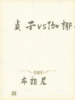 贞子vs伽椰子封面