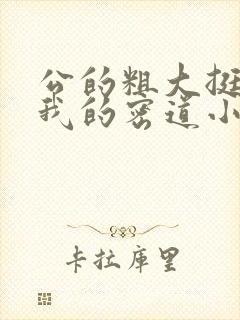 公的粗大挺进了我的密道小说