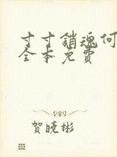 寸寸销魂何生祥全本免费