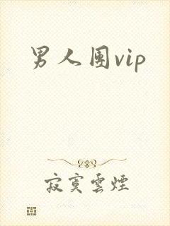 男人团vip