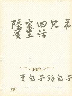 陆家四兄弟的甜蜜生活