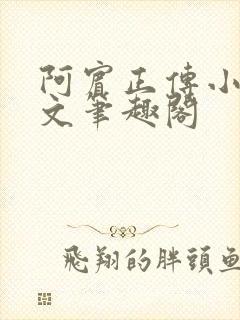 阿宾正传小说全文笔趣阁