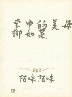 掌中的美母版主柳如是封面