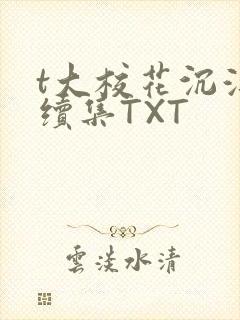 t大校花沉浮录续集TXT