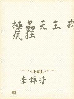 极品天王 我本疯狂