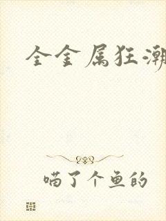 全金属狂潮小说