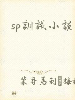 sp训诫小说