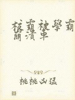 校霸被学霸玩到崩溃车