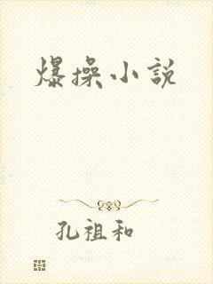 爆操小说