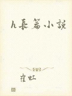 h长篇小说封面