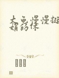 大龟慢慢挺进张娟的休封面