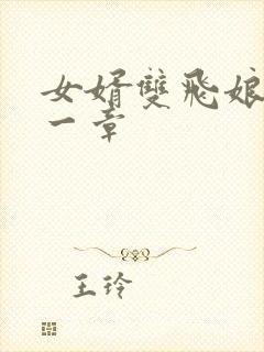 女婿双飞娘俩第一章
