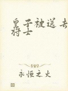 皇子被送去犒劳将士