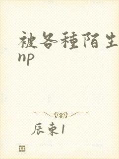 被各种陌生人 np