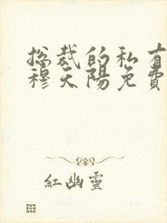 总裁的私有宝贝穆天阳免费封面