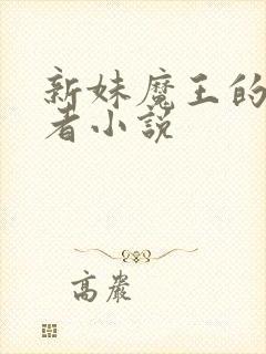 新妹魔王的契约者小说封面