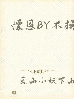 怀恩BY不换